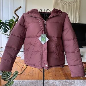 Brand New Hollister Puffer Jacket